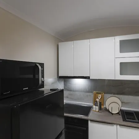 Old Town Heritage Apartament Timişoara