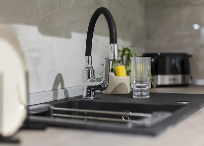 Old Town Heritage Apartament Timișoara