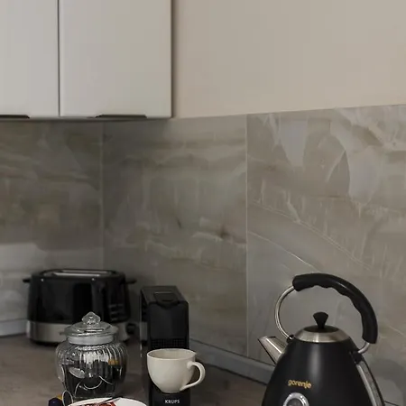 Old Town Heritage Апартаменты Тимишоара