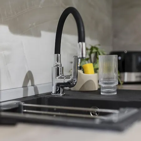 Old Town Heritage Апартаменты Тимишоара